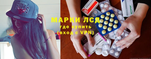 стаф Нея