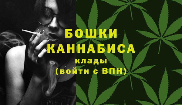 стаф Нея