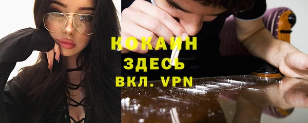 стаф Нея