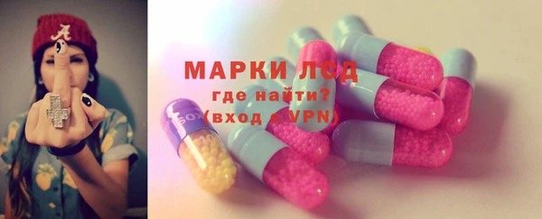 стаф Нея