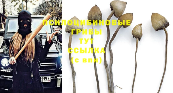 стафф Навашино